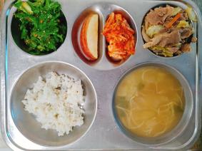 2026년 3월19일 급식안내